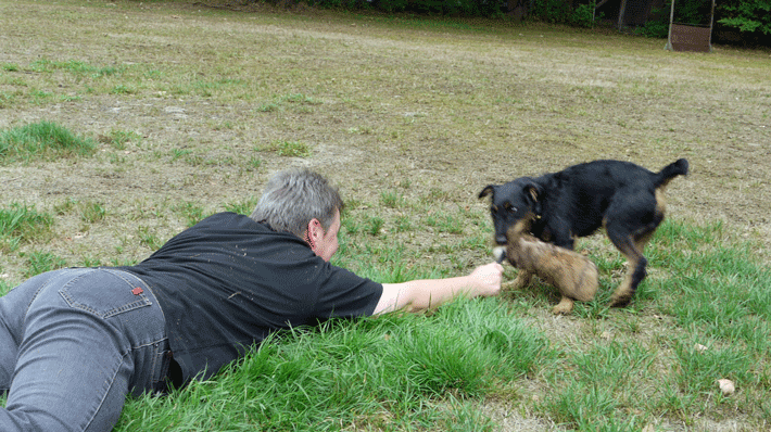 Pikus Andrea Zerrspiel Boden
